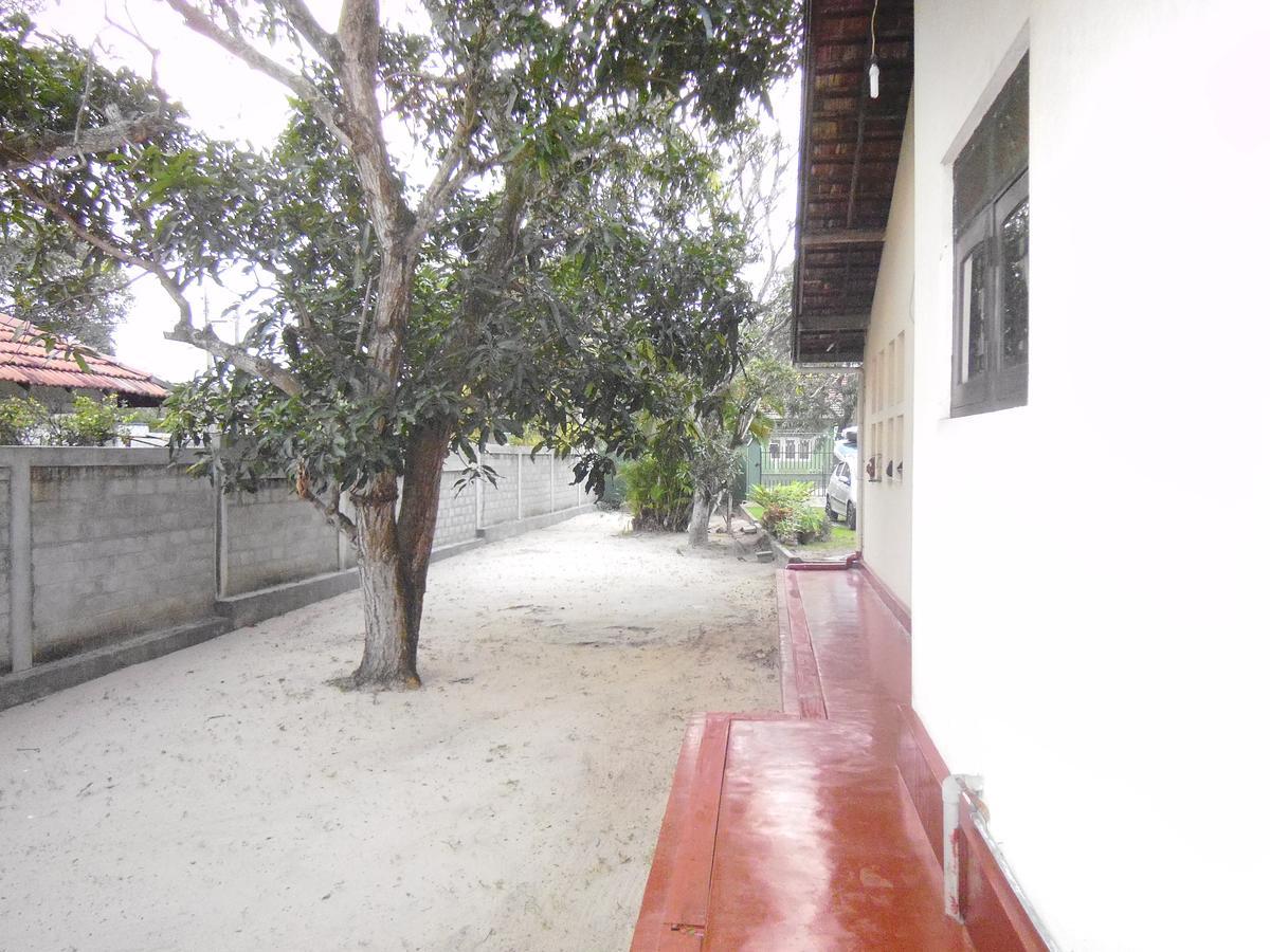 Mama'S Hostel By Taprobane Negombo Exterior photo